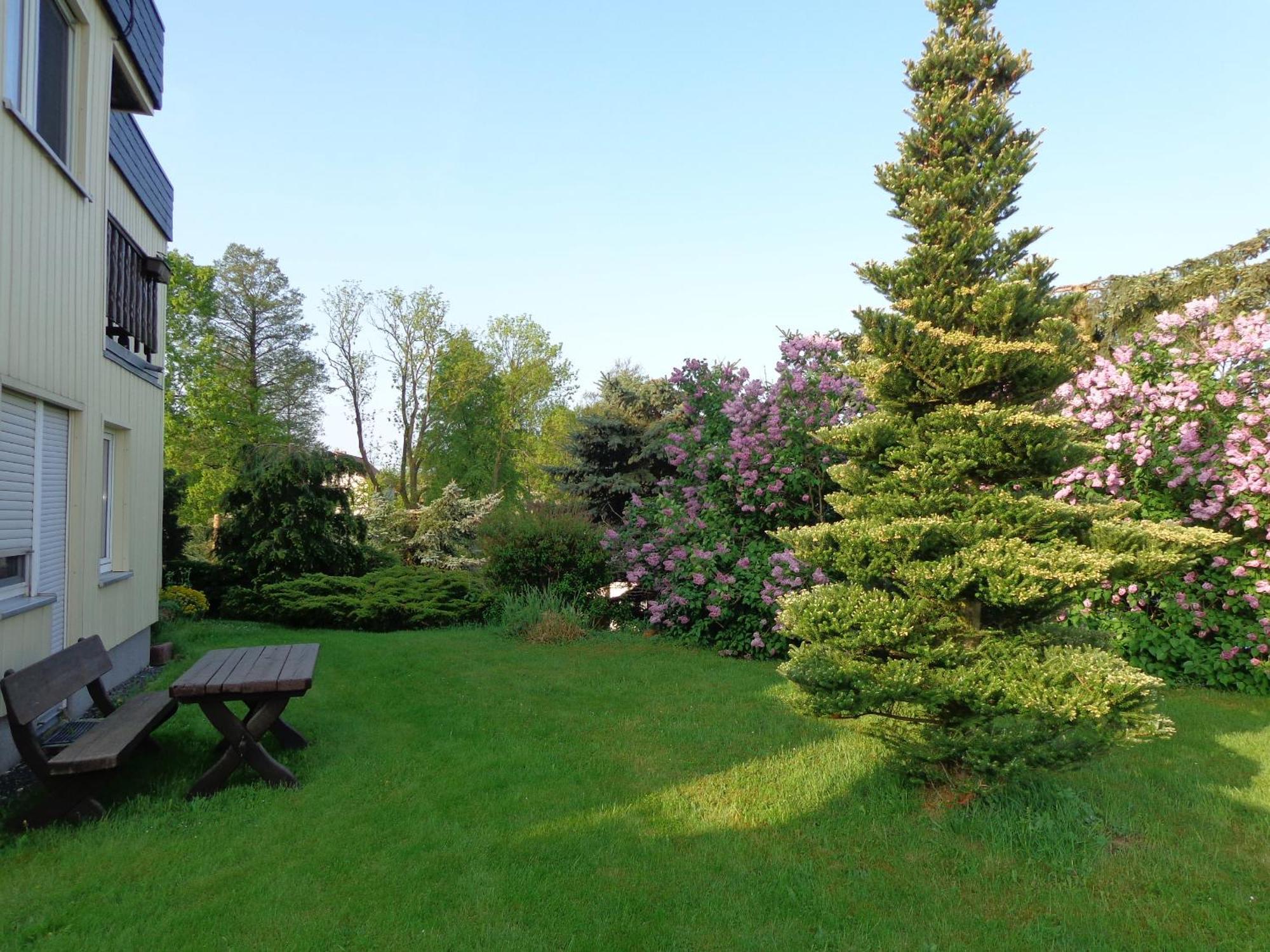 Pension Sonnenhuegel Markersdorf Экстерьер фото